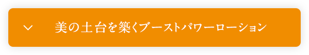 肌の土台を築くブーストパワーローション